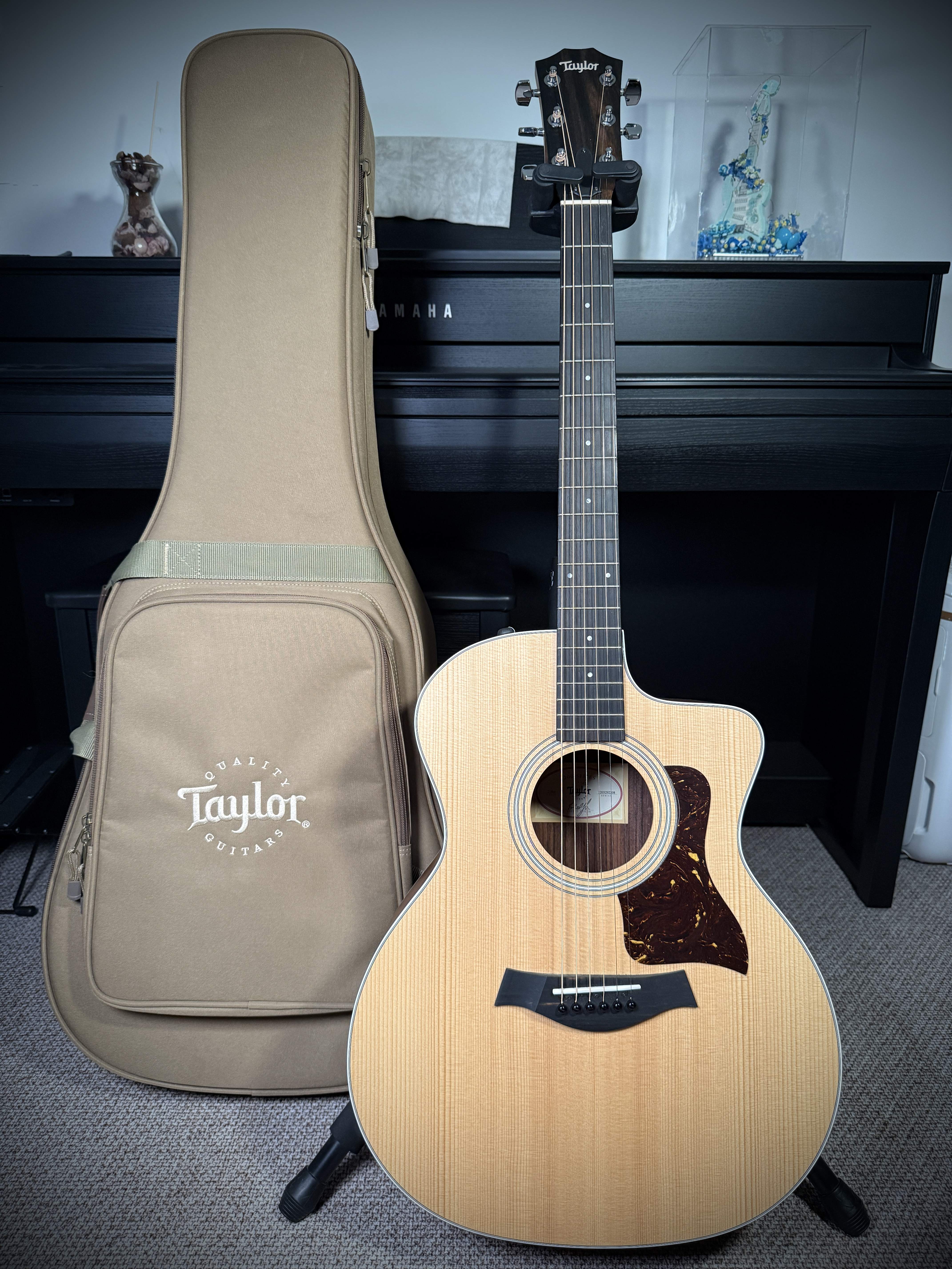 泰勒214CE-SR实拍图1