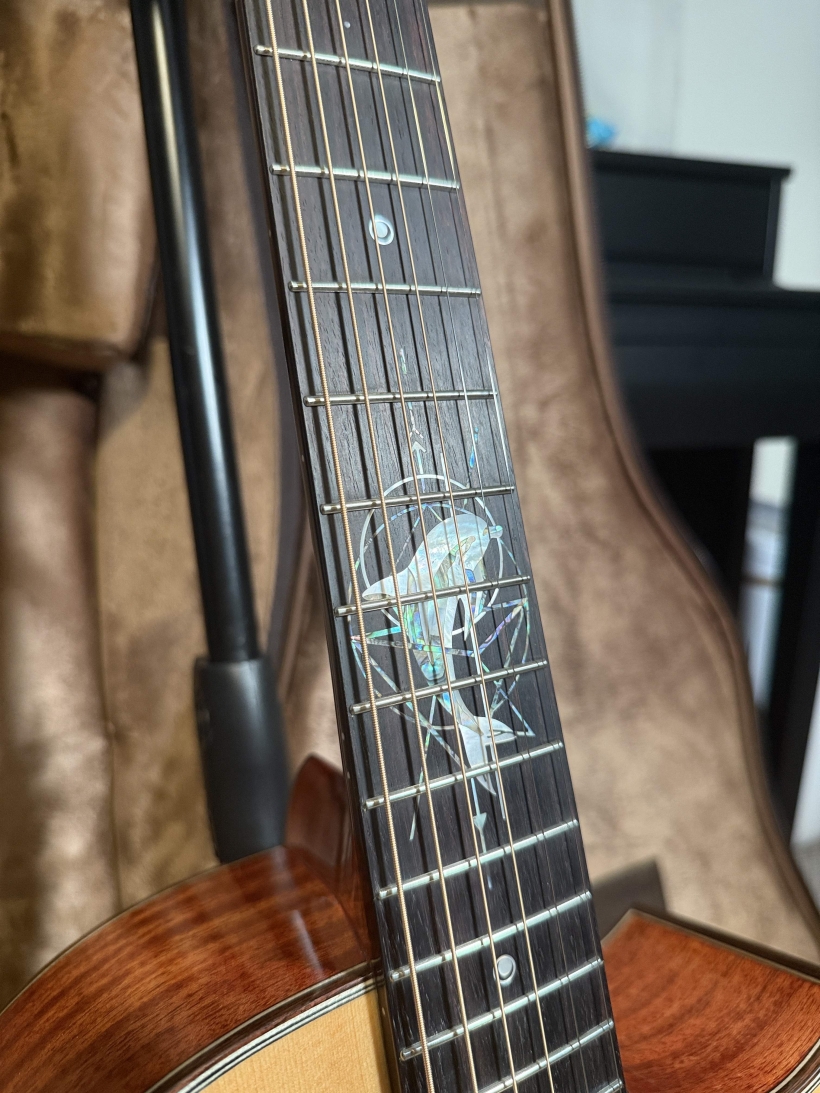 楚门1955TFL海豚物语实拍图5