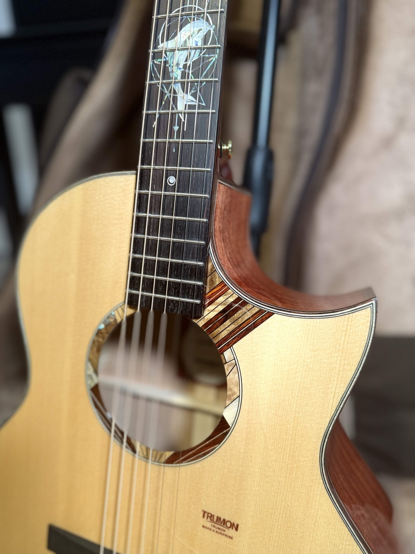 楚门1955TFL海豚物语实拍图3