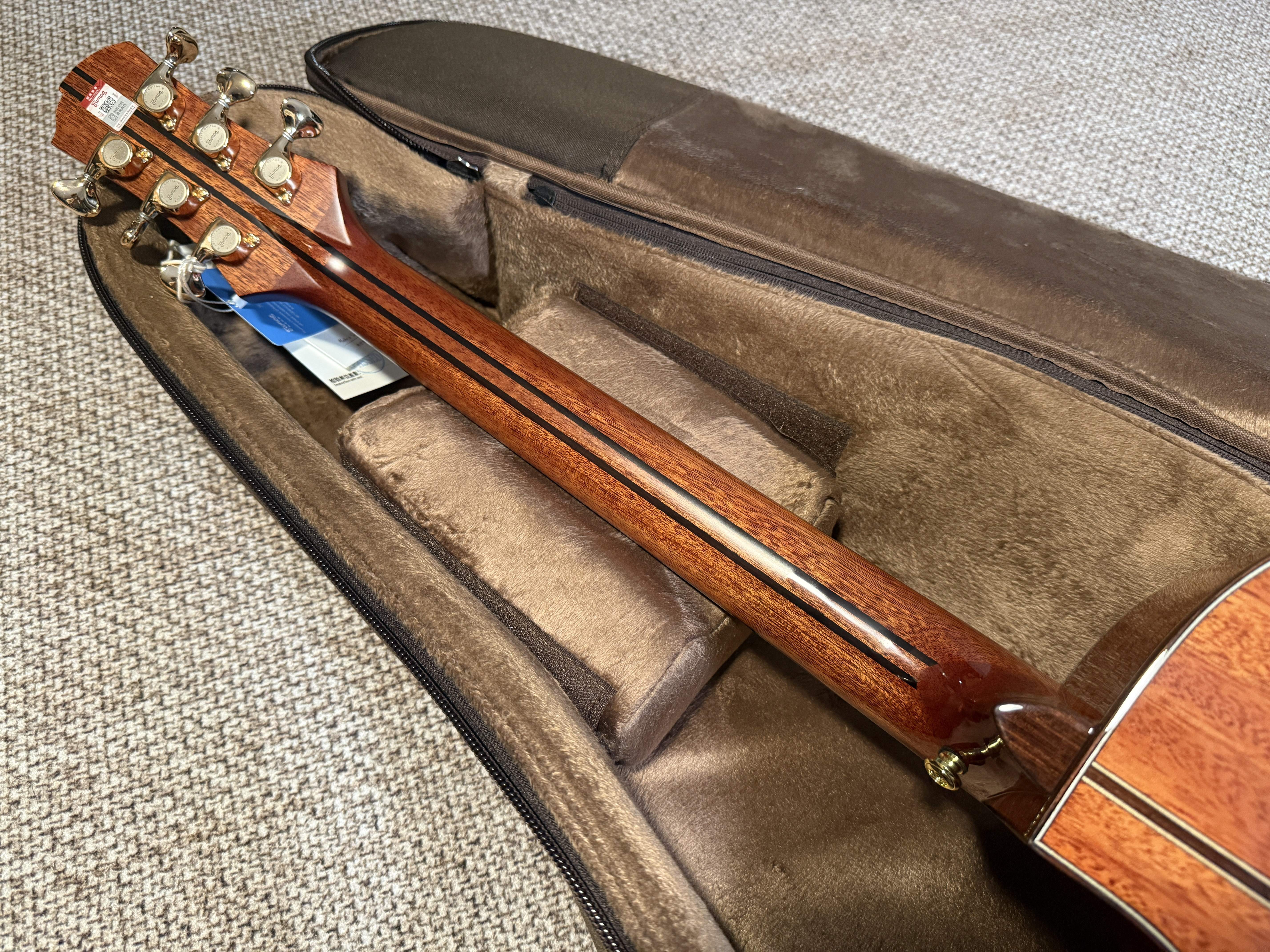 楚门1955TFL海豚物语实拍图6