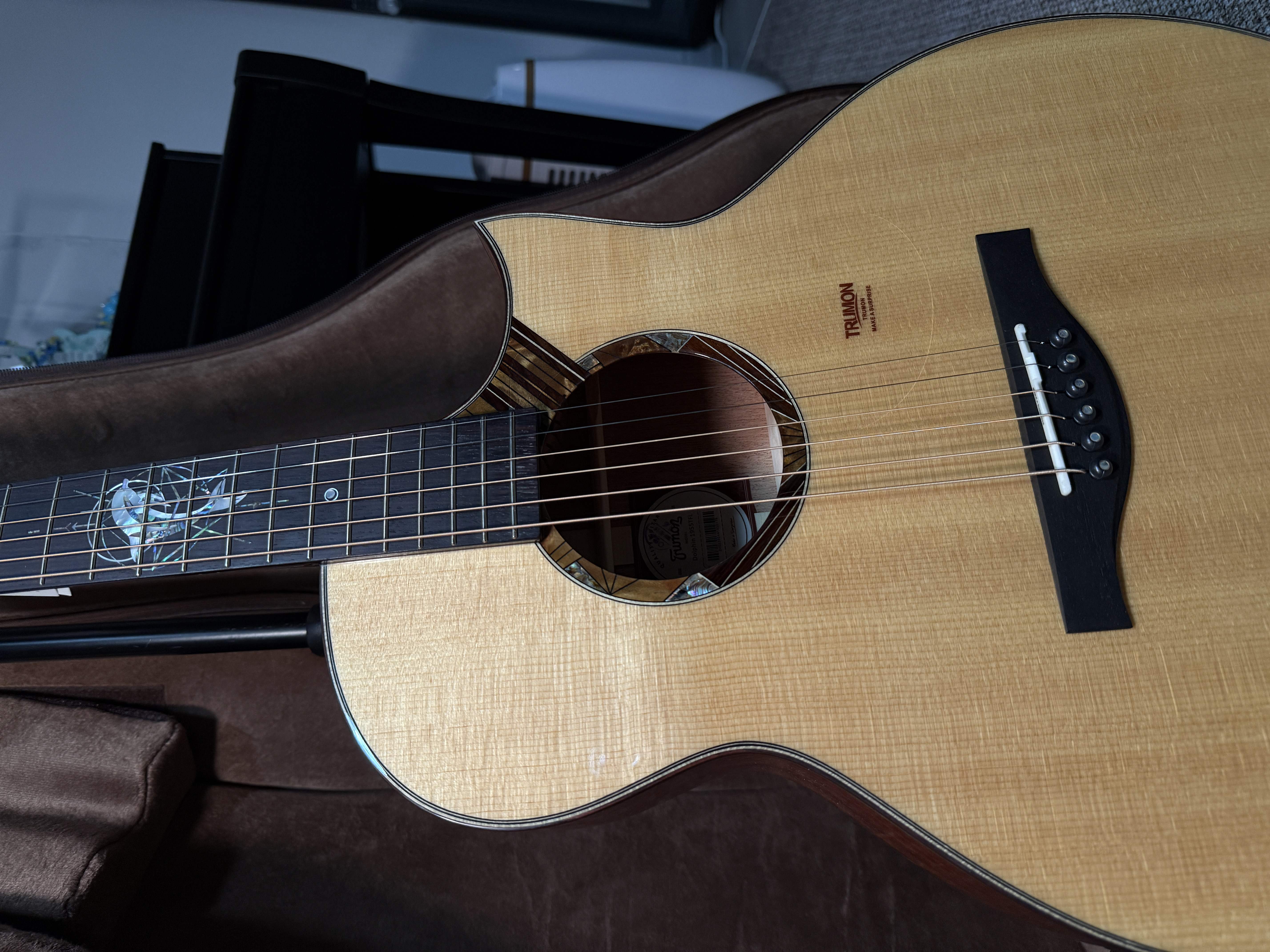 楚门海豚物语TFL1955实拍图4