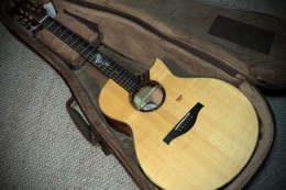 楚门海豚物语TFL1955 全新库存琴 当二手吉他卖 0瑕疵