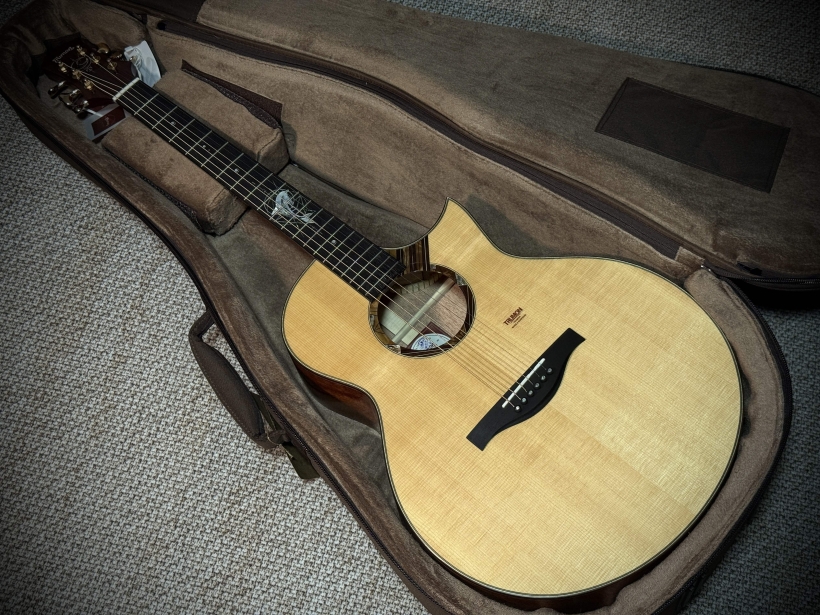 楚门海豚物语TFL1955实拍图1