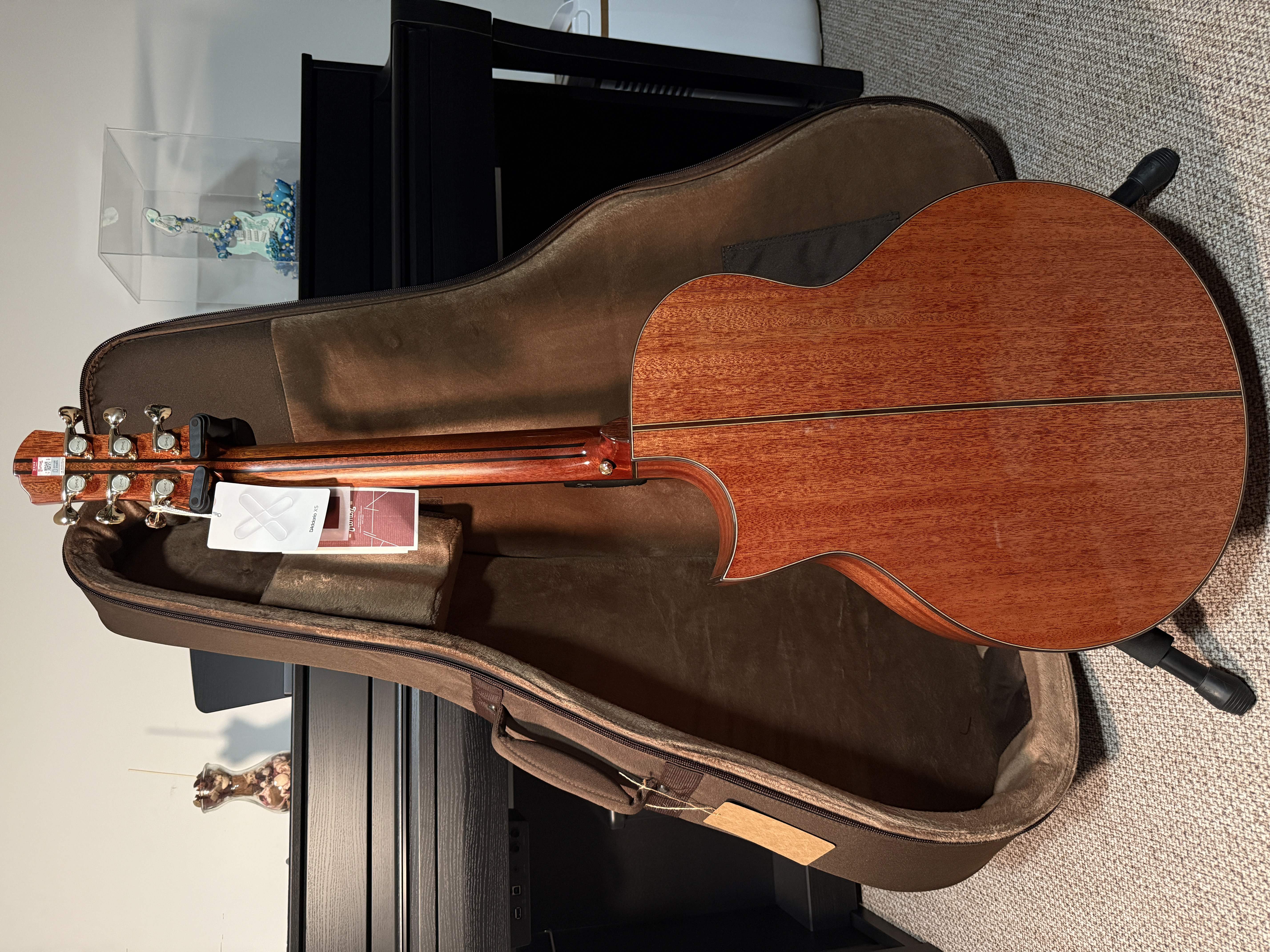 楚门海豚物语TFL1955实拍图6