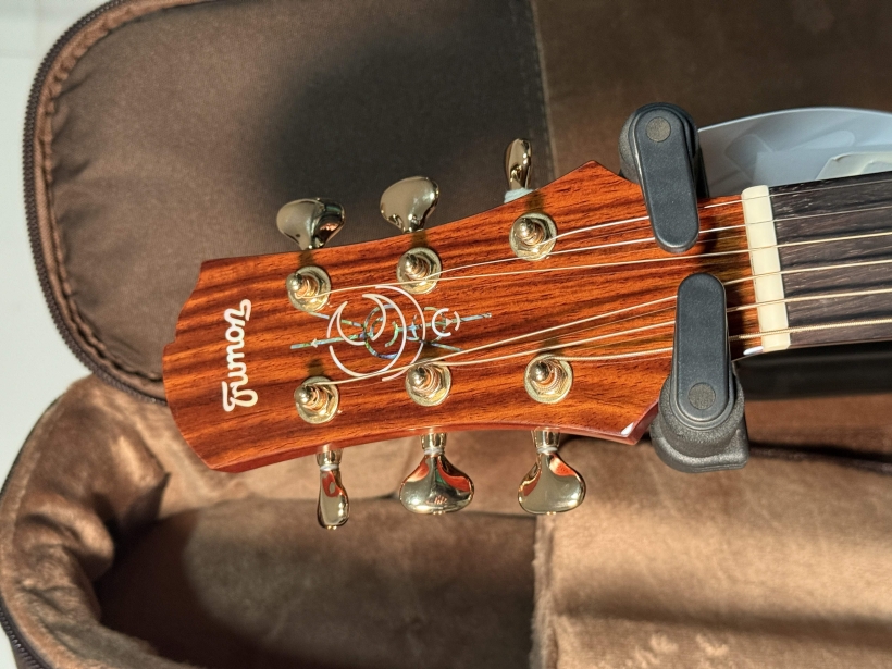 楚门海豚物语TFL1955实拍图5