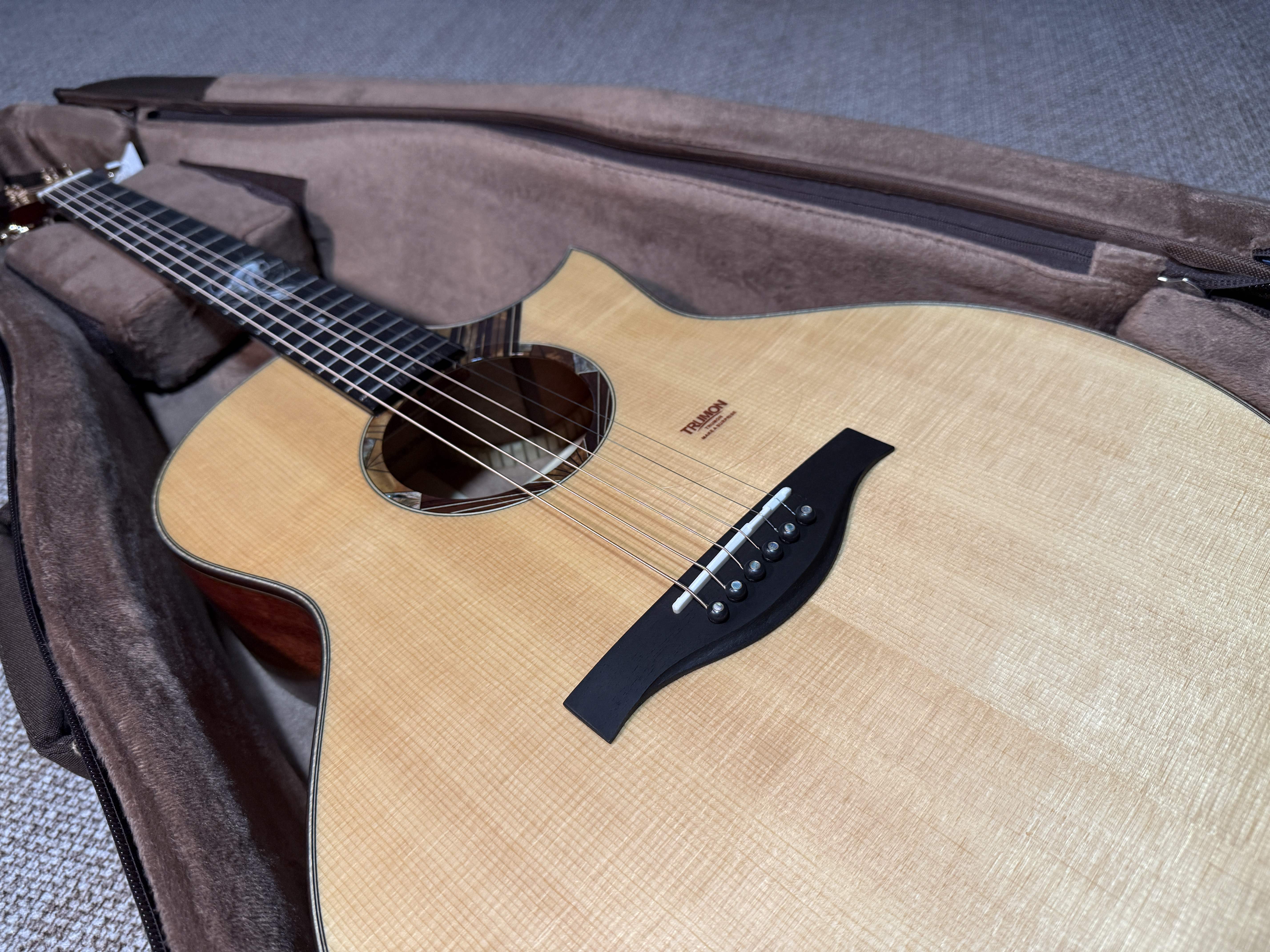 楚门海豚物语TFL1955实拍图2